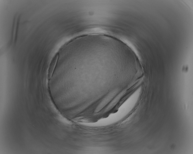 X0000092271477200709281214