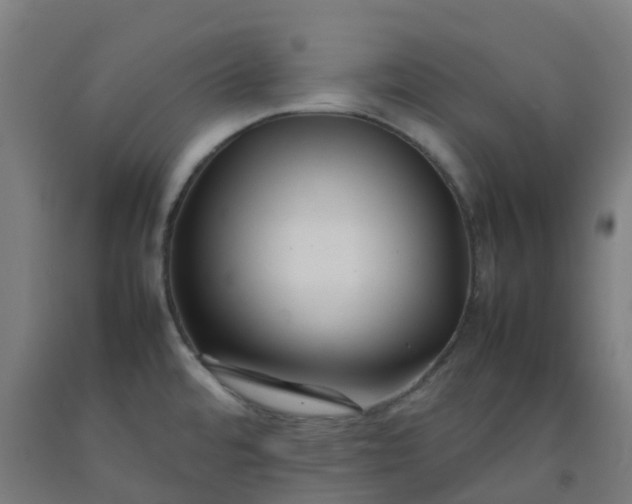 X0000092271480200709281214