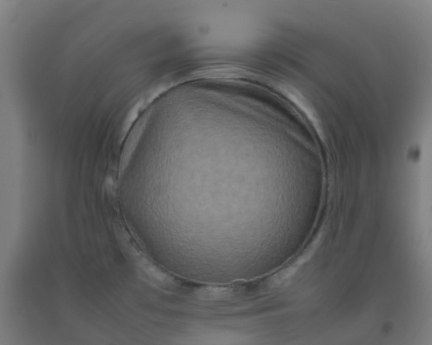 X0000092271481200709281214