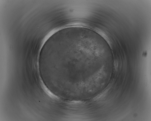 X0000092271482200709281214