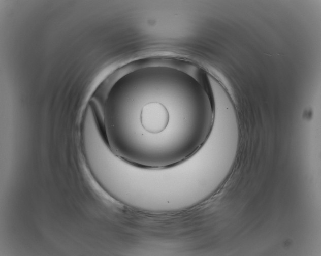 X0000092271483200709281214