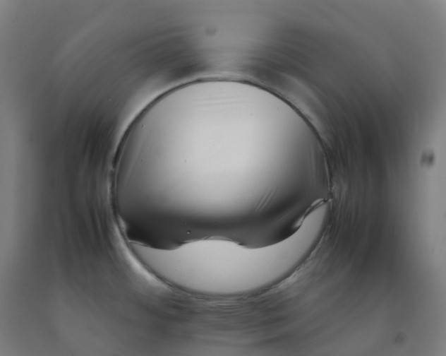 X0000092271484200709281214