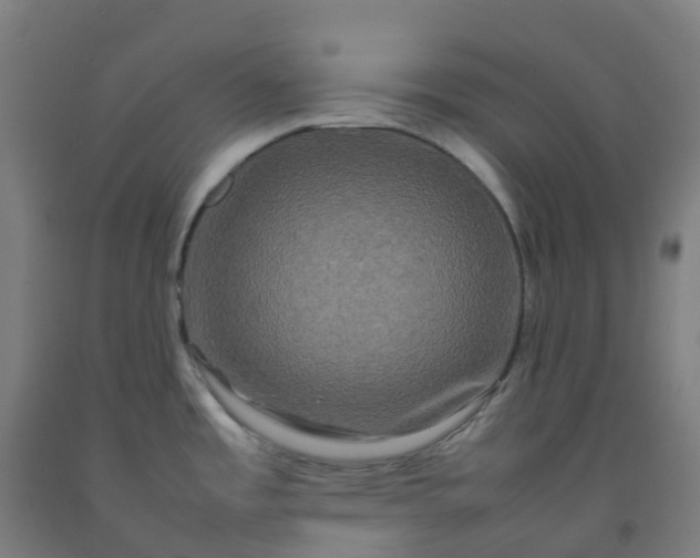 X0000092271485200709281214