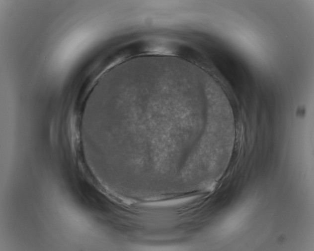 X0000092271487200709281214