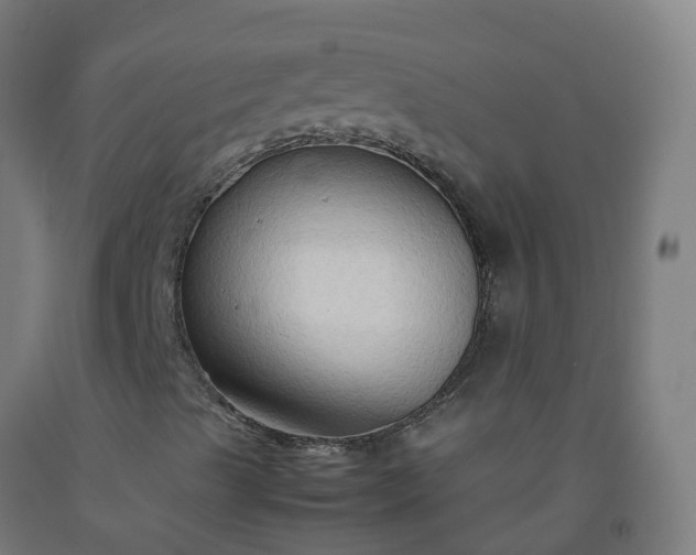 X0000092271489200709281213