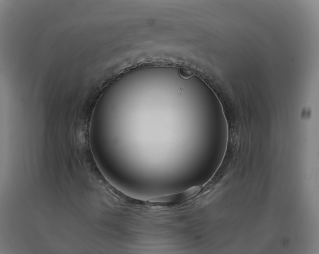 X0000092271490200709281213