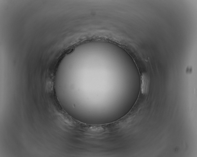 X0000092271491200709281213