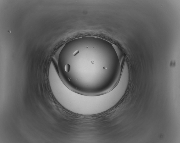 X0000092271492200709281213