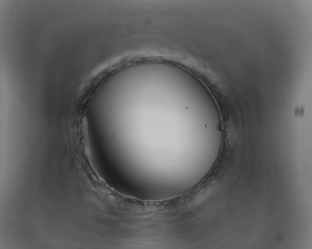 X0000092271494200709281213