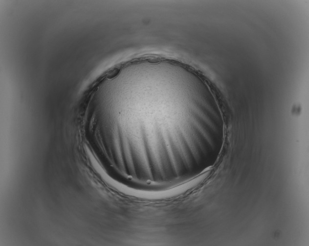 X0000092271496200709281213