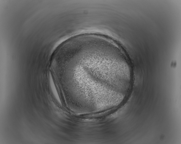 X0000092271497200709281213