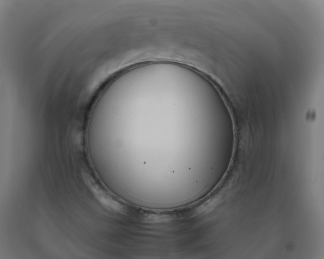 X0000092271499200709281213