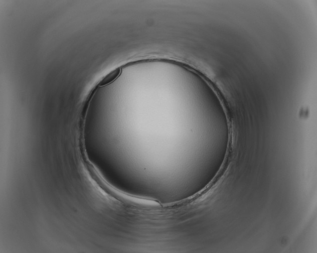 X0000092271500200709281213
