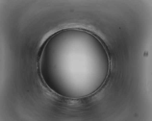 X0000092271501200709281213