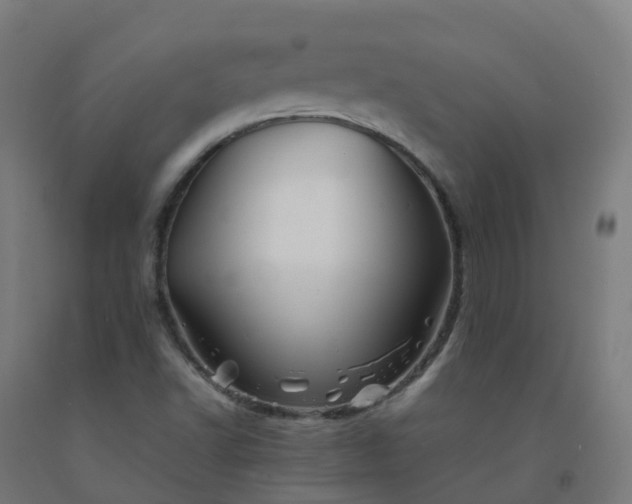 X0000092271502200709281213