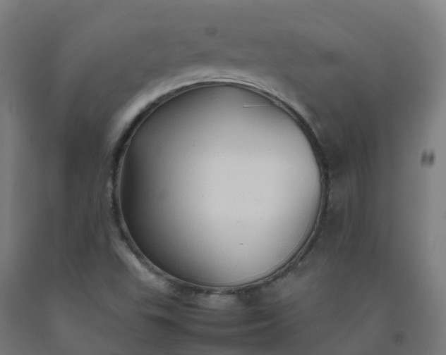 X0000092271503200709281213