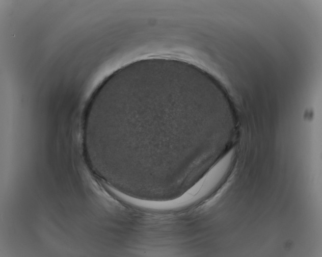 X0000092271506200709281213