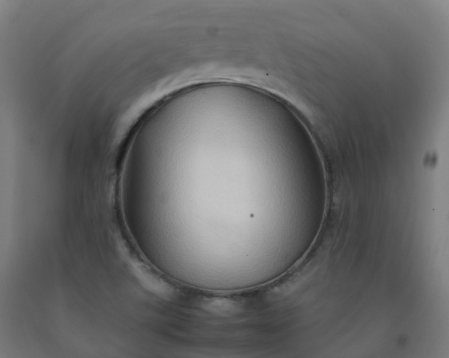 X0000092271507200709281213