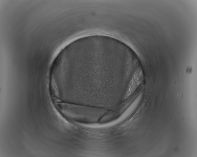 X0000092271508200709281213