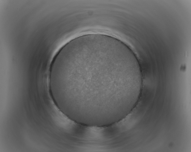 X0000092271514200709281213