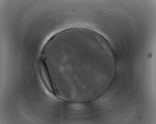 X0000092271515200709281213