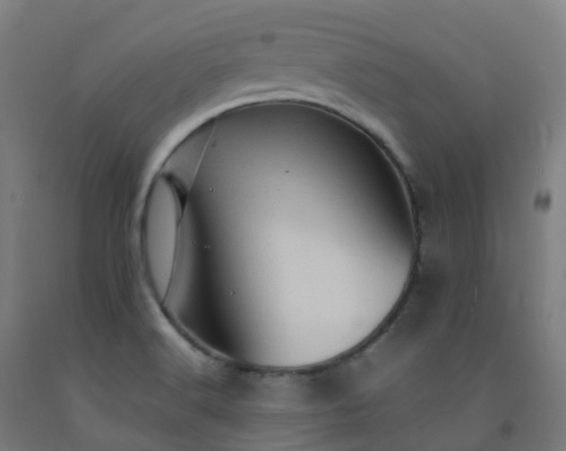 X0000092271516200709281213