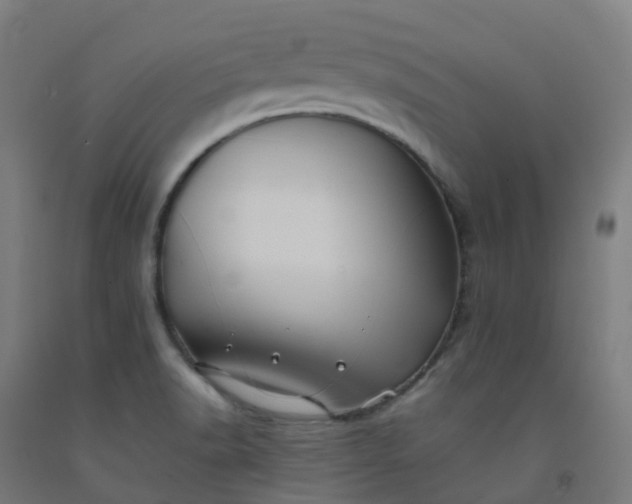 X0000092271518200709281213