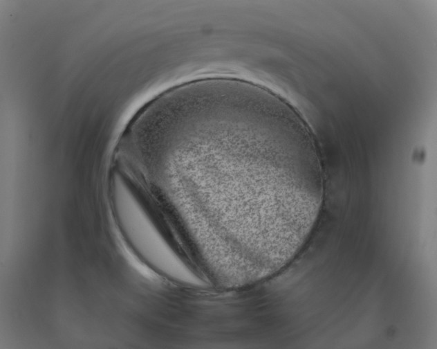 X0000092271519200709281213