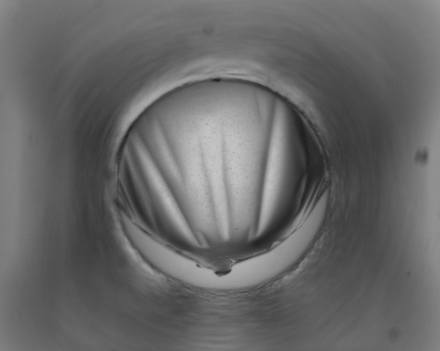 X0000092271520200709281214