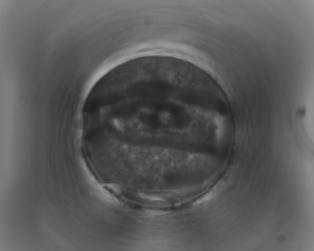 X0000092271522200709281214