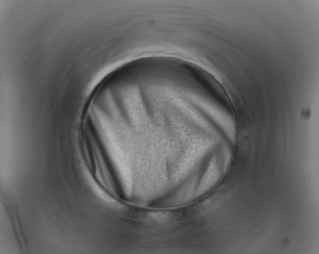 X0000092271523200709281214