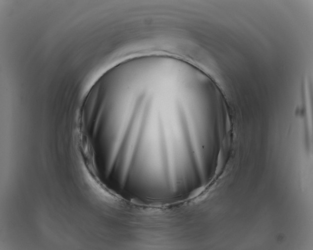 X0000092271524200709281214