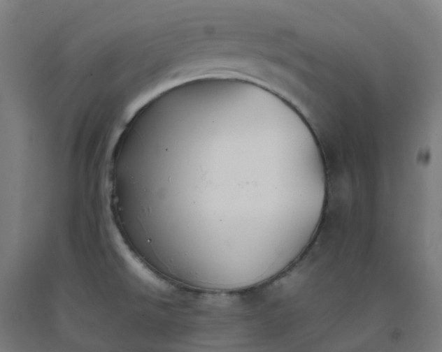X0000092271526200709281214