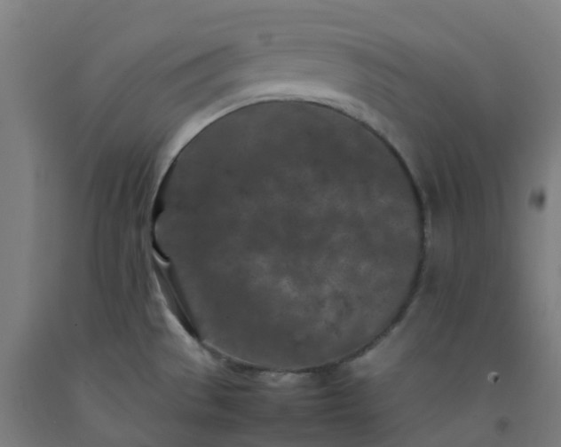 X0000092271529200709281214