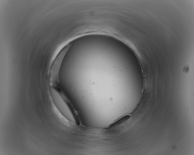 X0000092271532200709281214