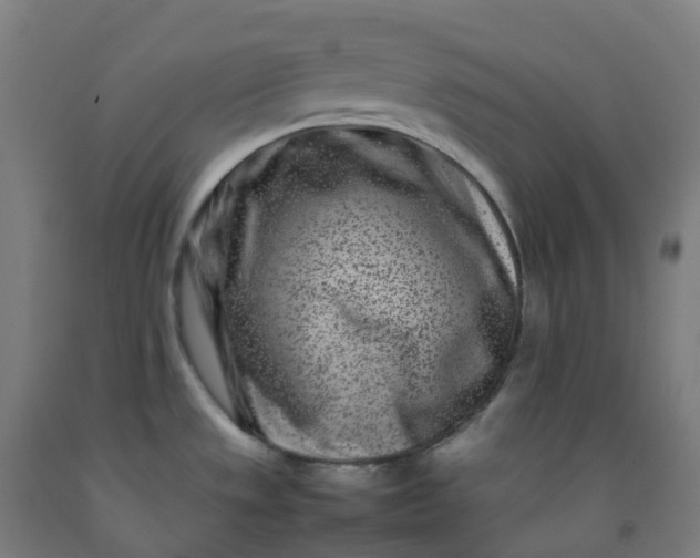 X0000092271533200709281214