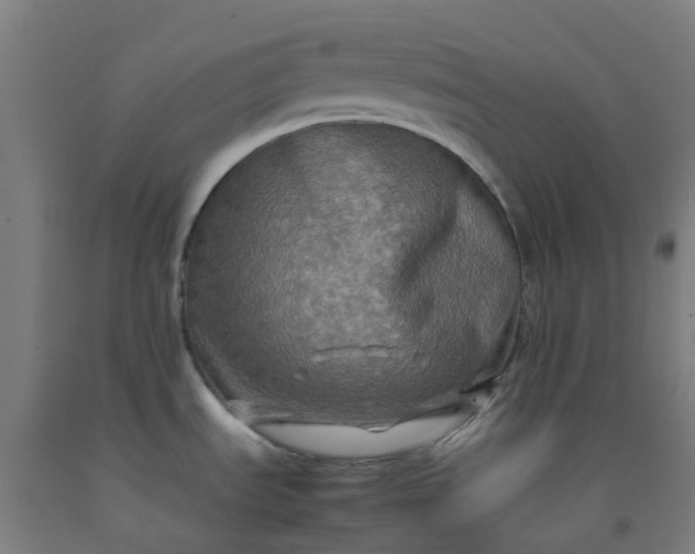 X0000092271535200709281214