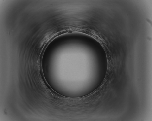 X0000092270002200710041401