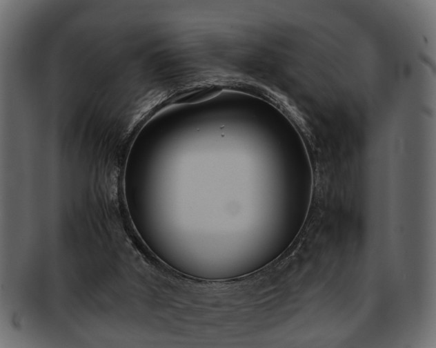 X0000092270010200710041401