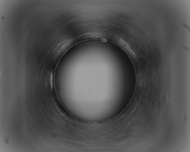 X0000092270014200710041401