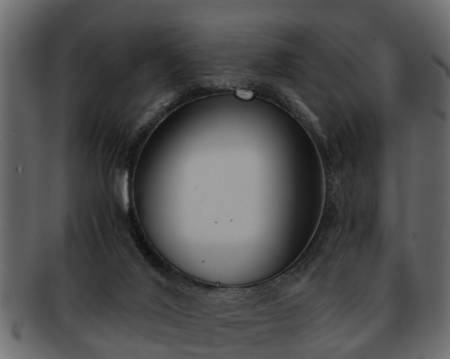 X0000092270020200710041401