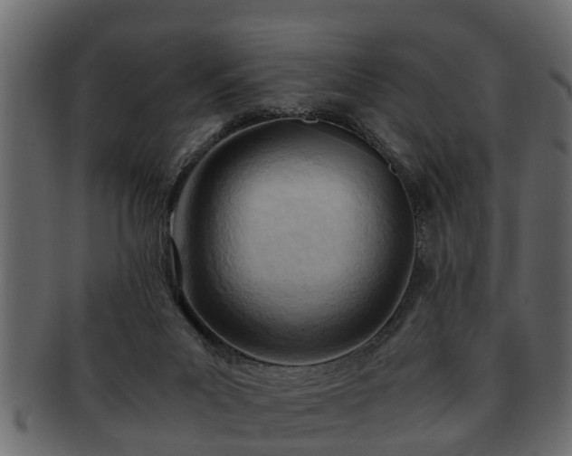 X0000092270023200710041401