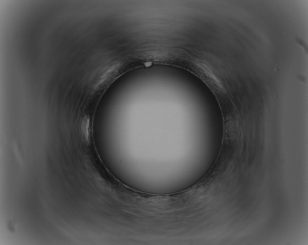 X0000092270024200710041401