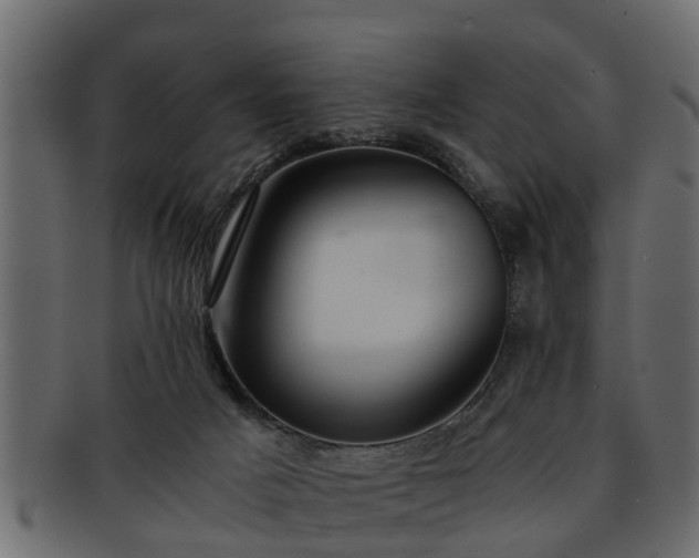 X0000092270025200710041401