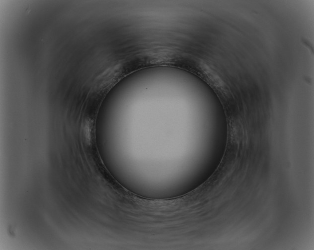 X0000092270026200710041401