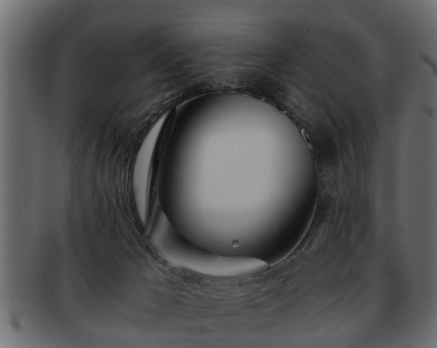 X0000092270029200710041401