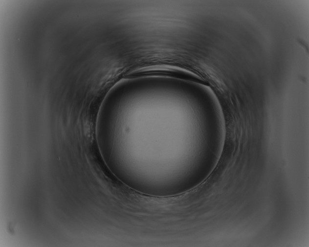 X0000092270031200710041401