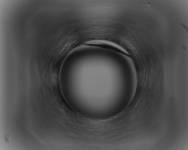 X0000092270035200710041400