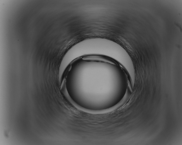 X0000092270045200710041400