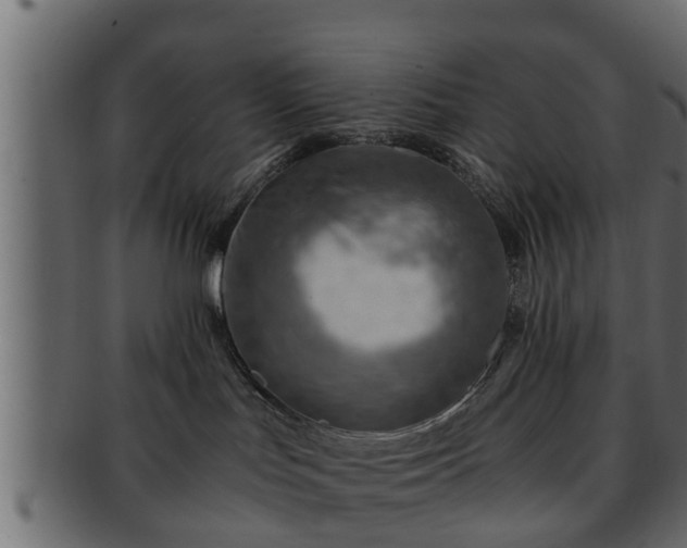 X0000092270047200710041400